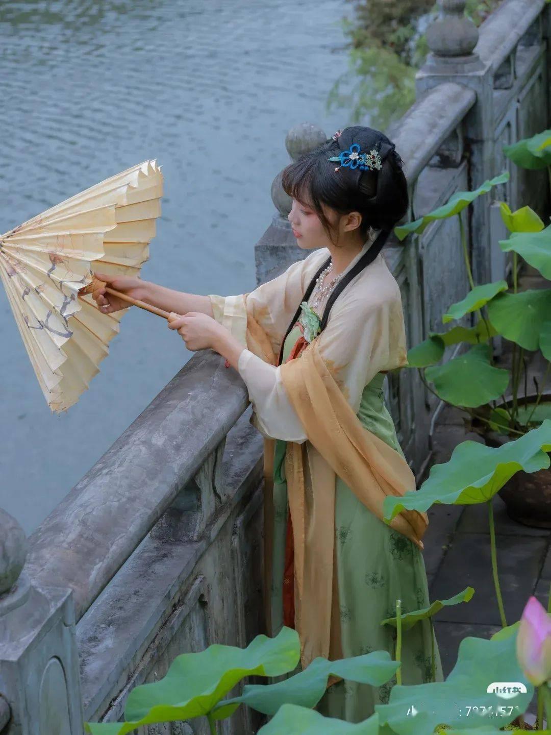 营救小乌龟